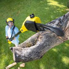 Best Commercial Tree Services  in Alton, TX